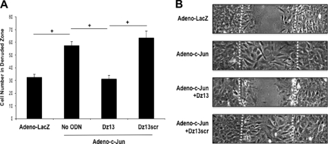 FIGURE 4.