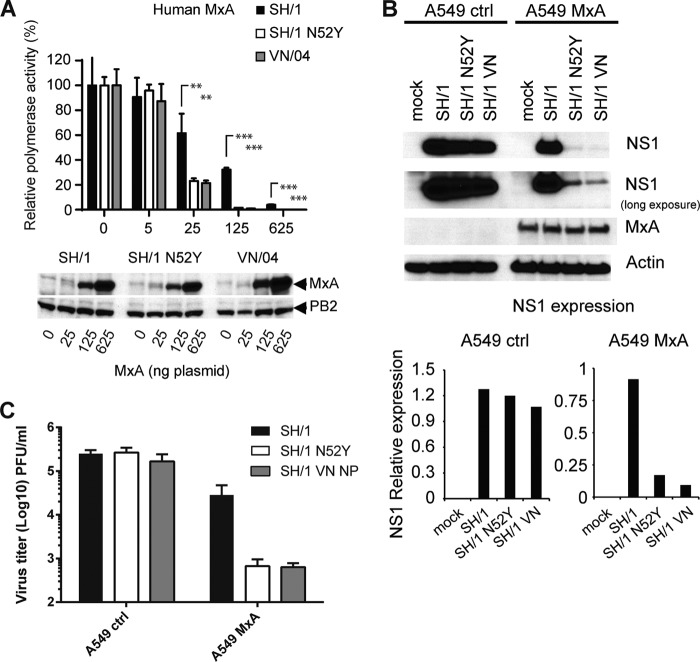 FIG 6