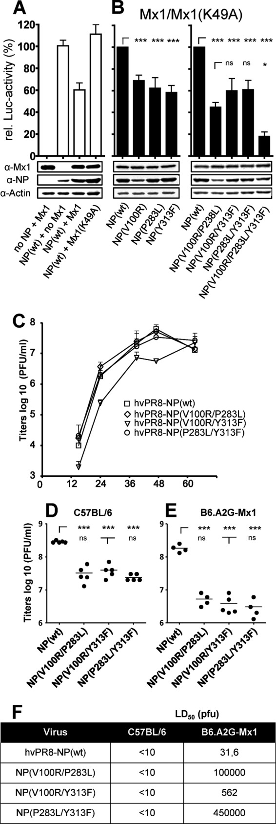 FIG 1