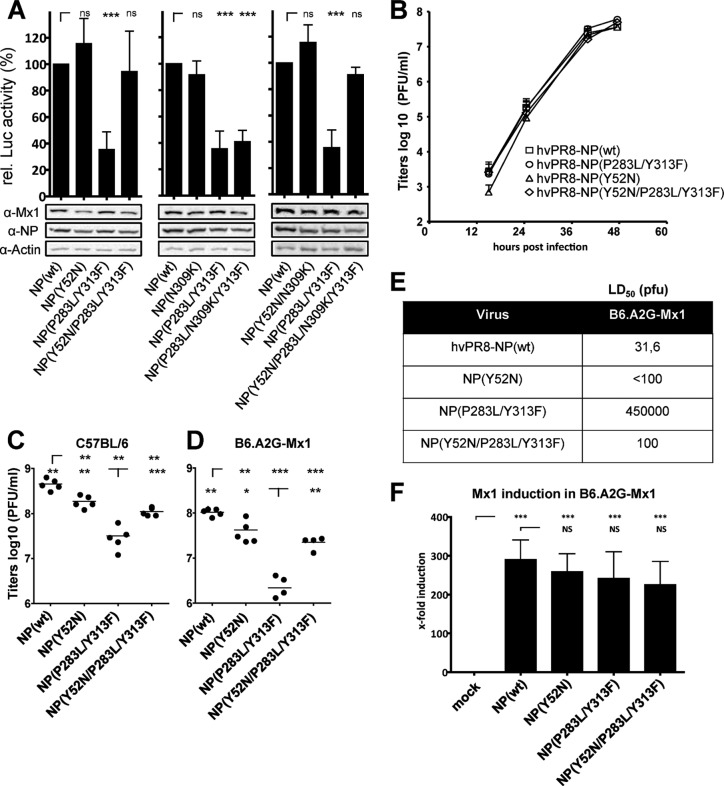 FIG 3