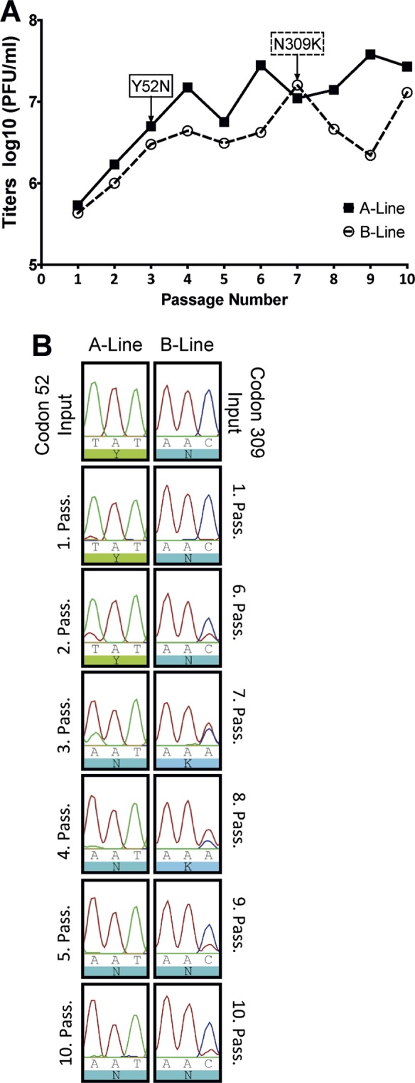 FIG 2