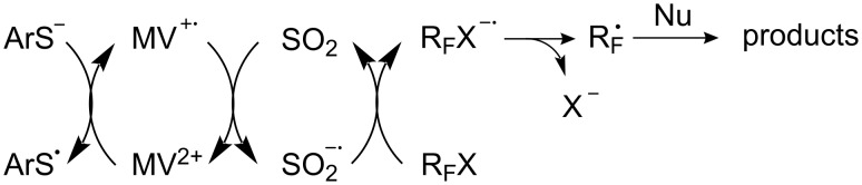 Scheme 50