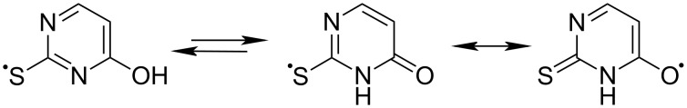 Scheme 44