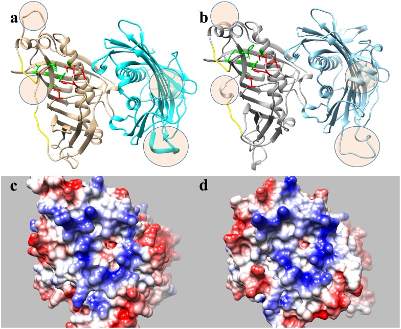 FIGURE 4