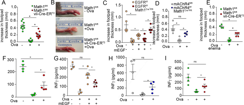 Figure 6: