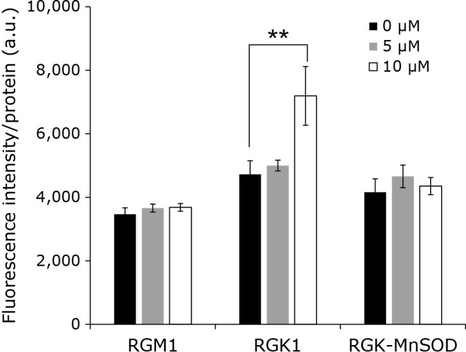 Fig. 1.