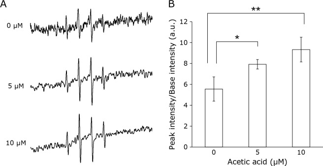 Fig. 2.