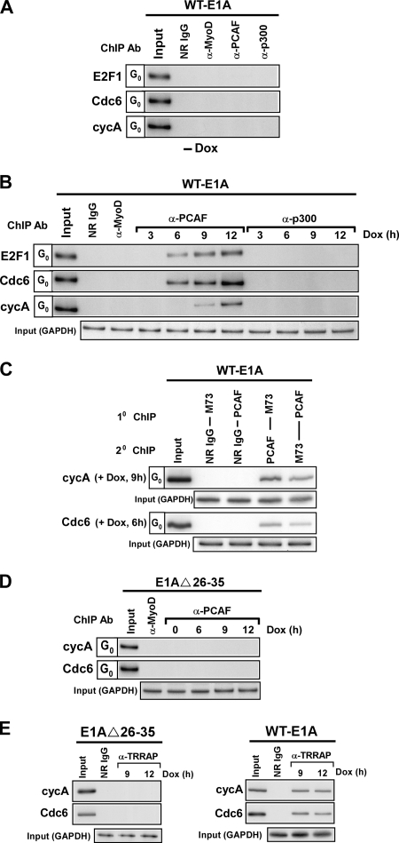 FIG. 7.