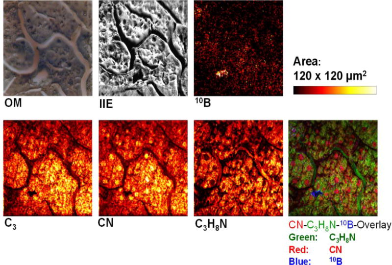 Figure 6