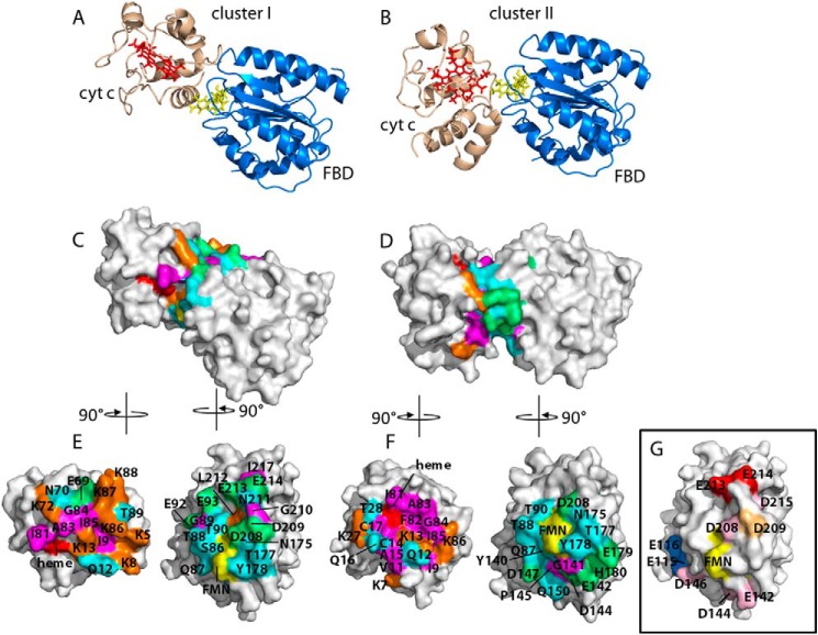 FIGURE 10.