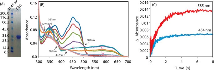 FIGURE 1.