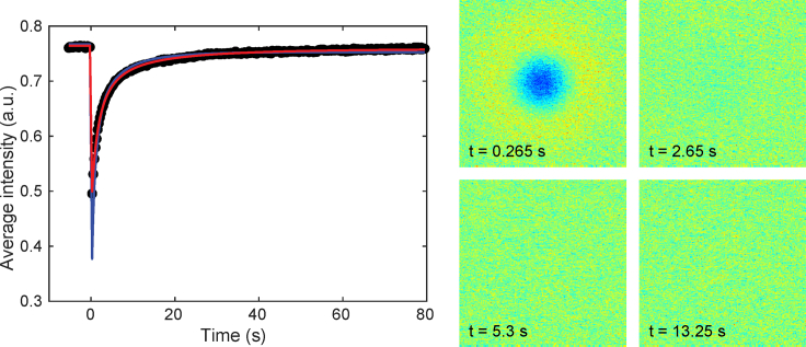 Figure 9