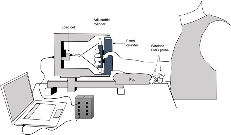 FIGURE 2