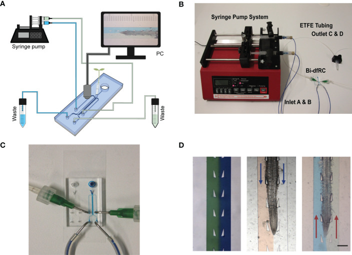 Figure 2