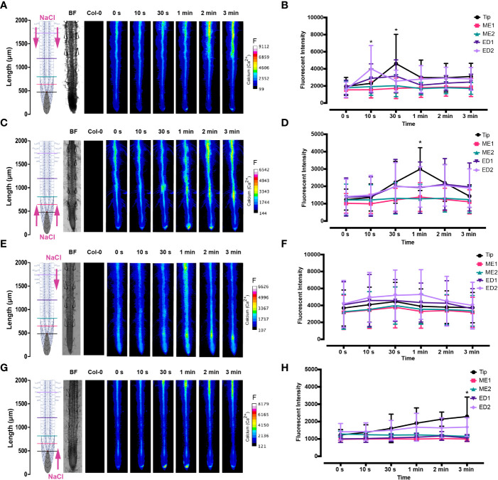 Figure 3