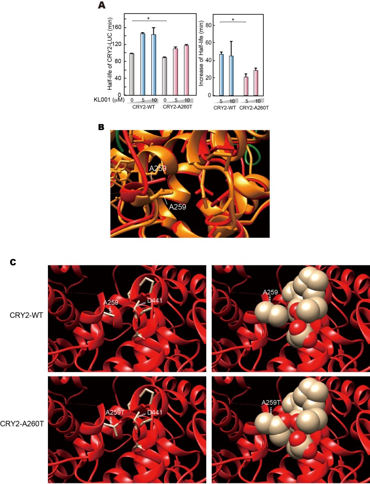 Figure 5—figure supplement 1.