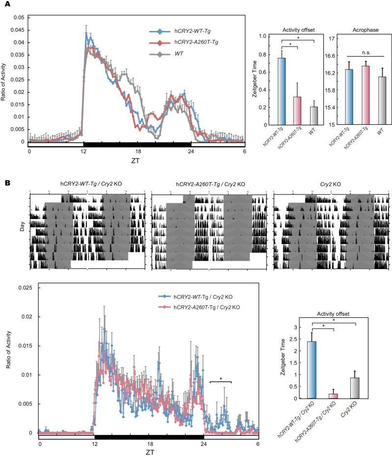 Figure 2—figure supplement 2.