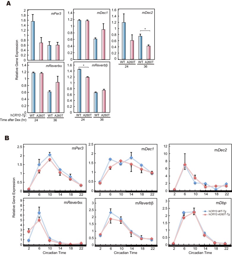 Figure 6—figure supplement 1.