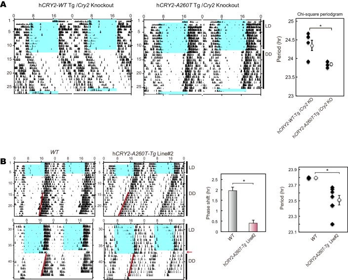 Figure 2—figure supplement 4.