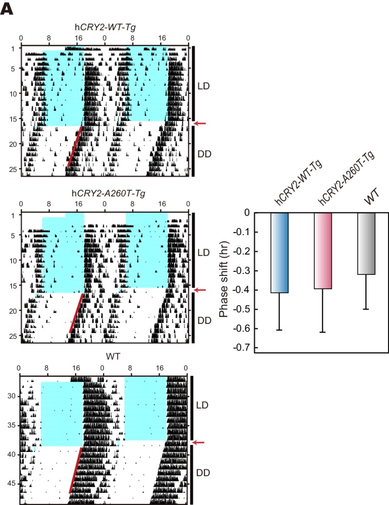 Figure 2—figure supplement 3.