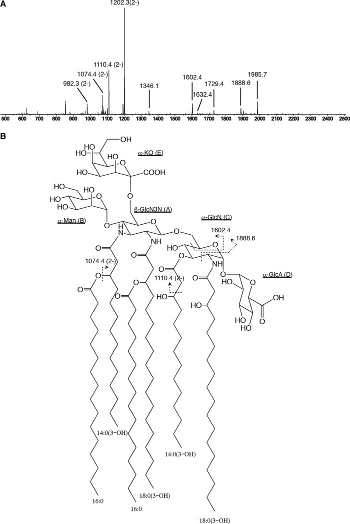 FIGURE 6.