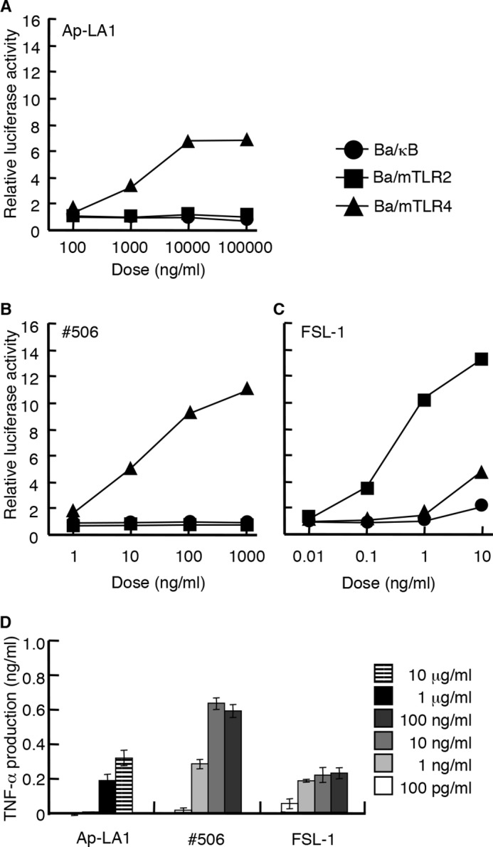 FIGURE 4.