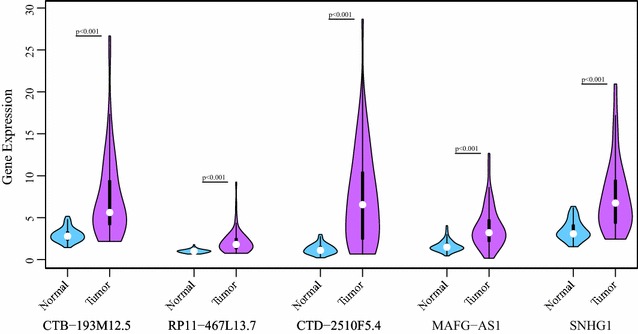 Fig. 7