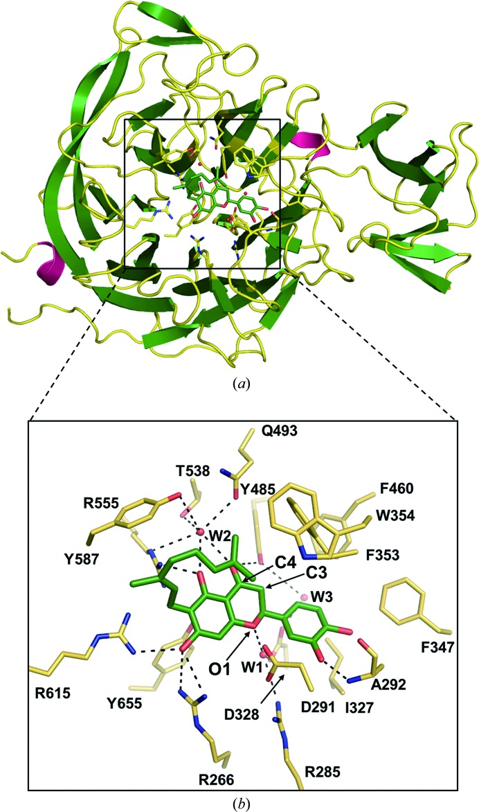 Figure 2