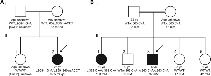 Figure 1.