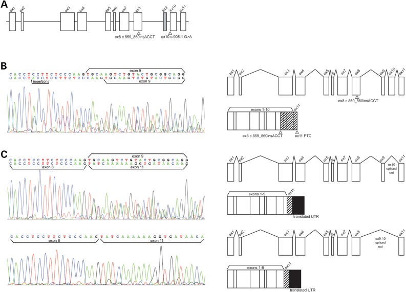 Figure 4.