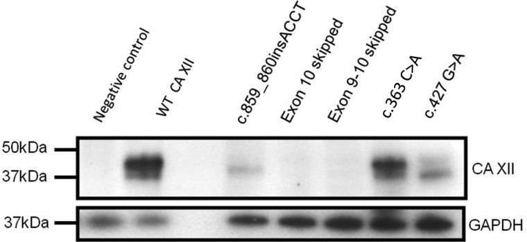 Figure 5.