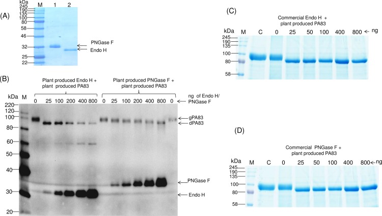 Fig 11