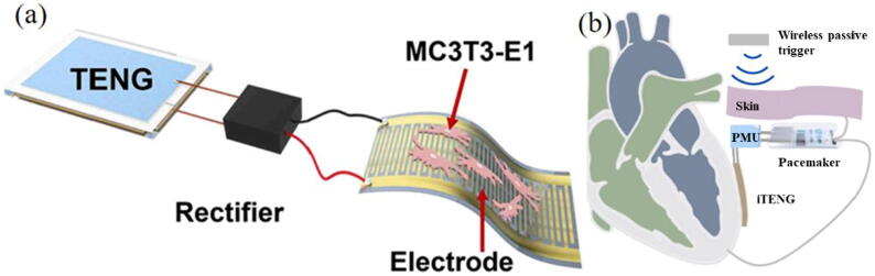 Fig. 12