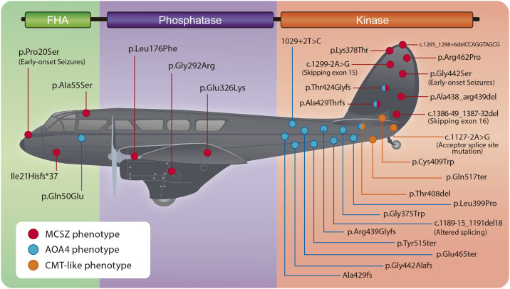 Fig 10