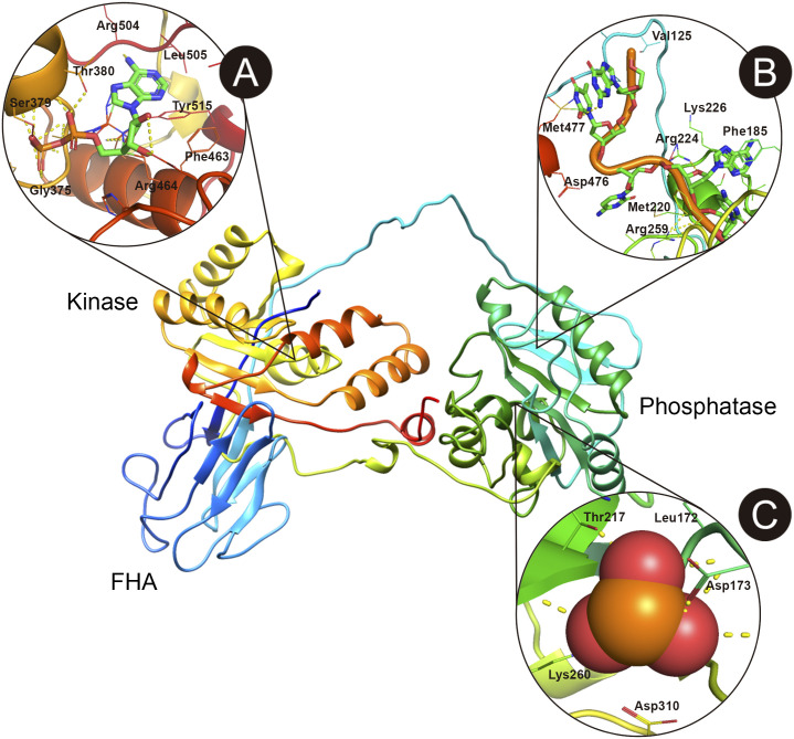 Fig 6