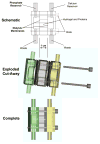 Fig. 3