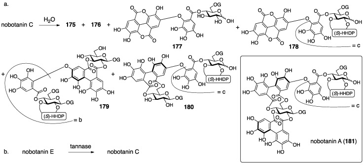 Figure 55