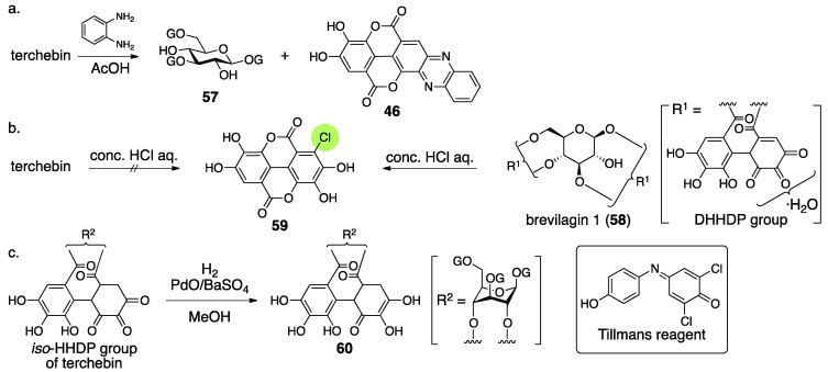 Figure 24