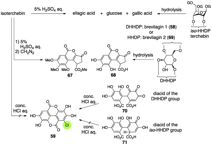 Figure 28