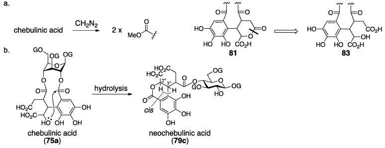 Figure 32