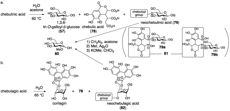 Figure 31