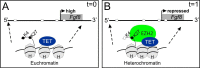 Fig 9
