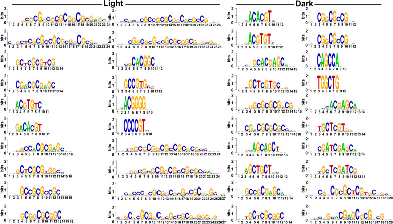 Figure 7