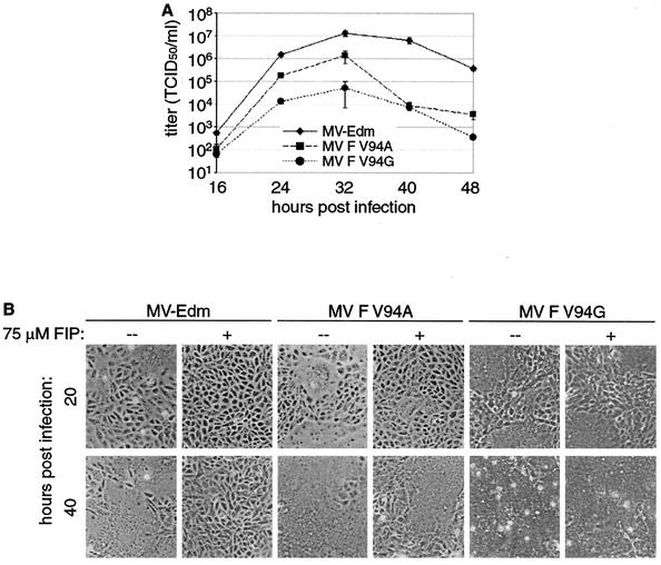 FIG. 7.