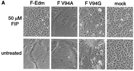 FIG. 6.