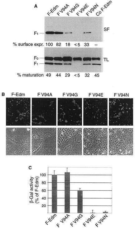 FIG. 5.