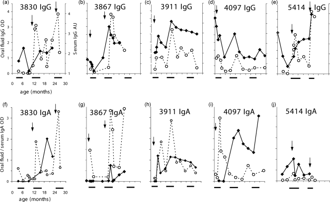 FIG. 1.