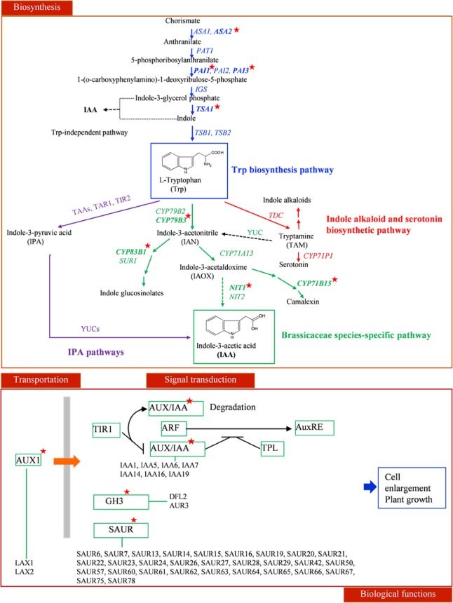 FIGURE 6