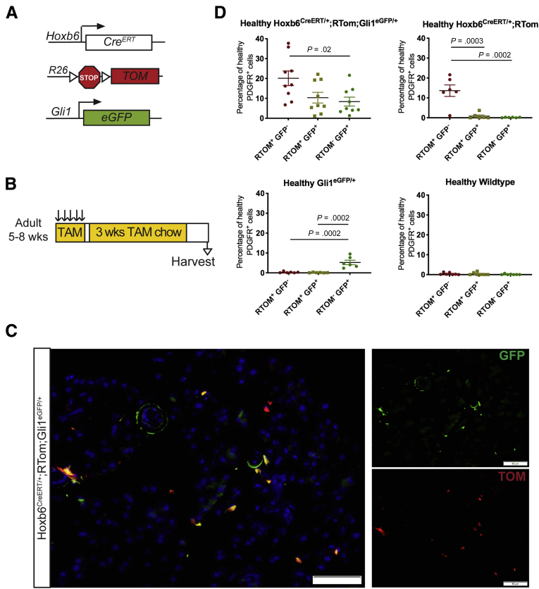 Figure 6