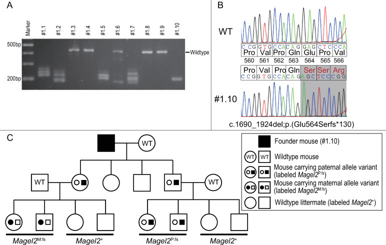 Fig 3